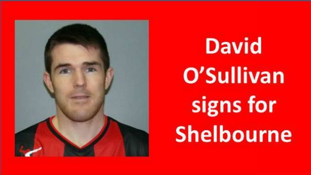 Davy O'Sullivan signs for Shelbourne