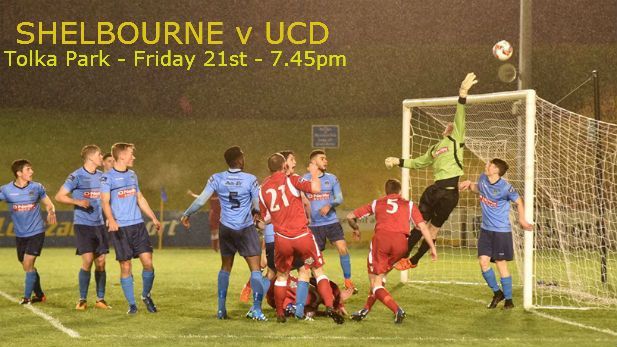 Shelbourne v UCD : Tolka Park : Tonight at 7.45pm